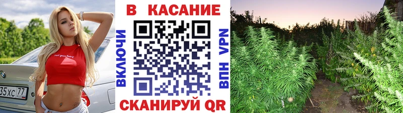 Где найти наркотики Кондопога Cocaine  ГАШ  A PVP  Конопля 