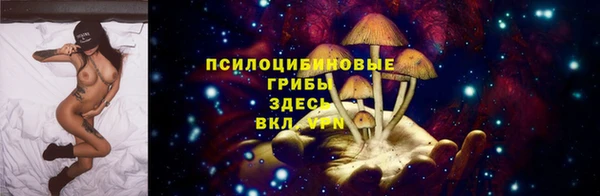 гидра Алзамай