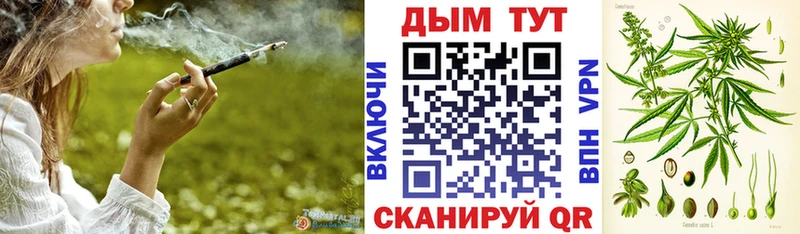 Бошки марихуана планчик  купить закладку  Кондопога 